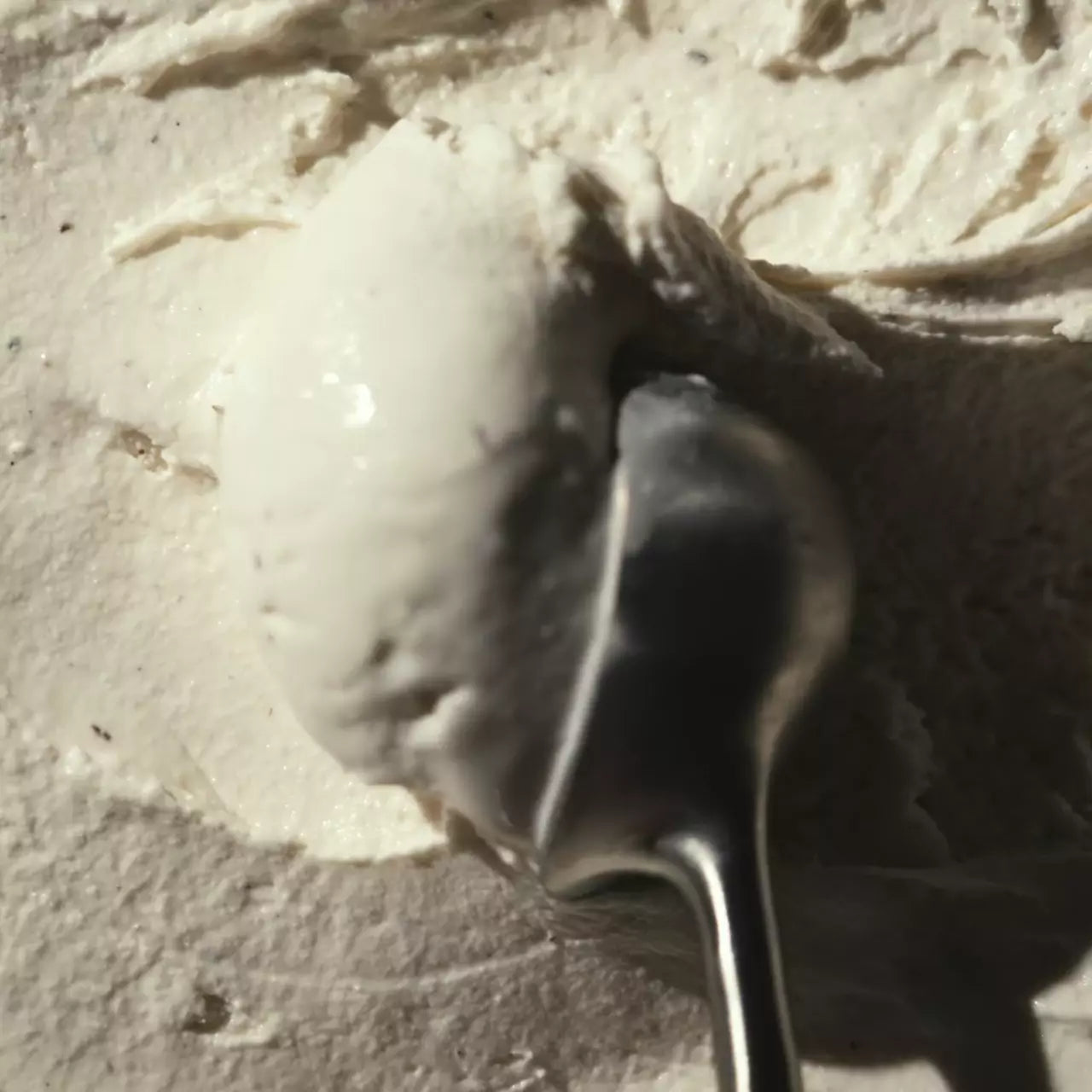 Vanilla Bean (6 pints) - Simple Protein